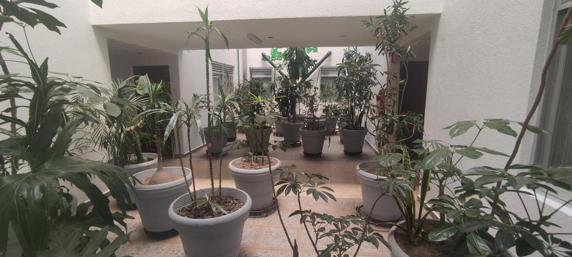 Hotel Habana Mexico City Ngoại thất bức ảnh