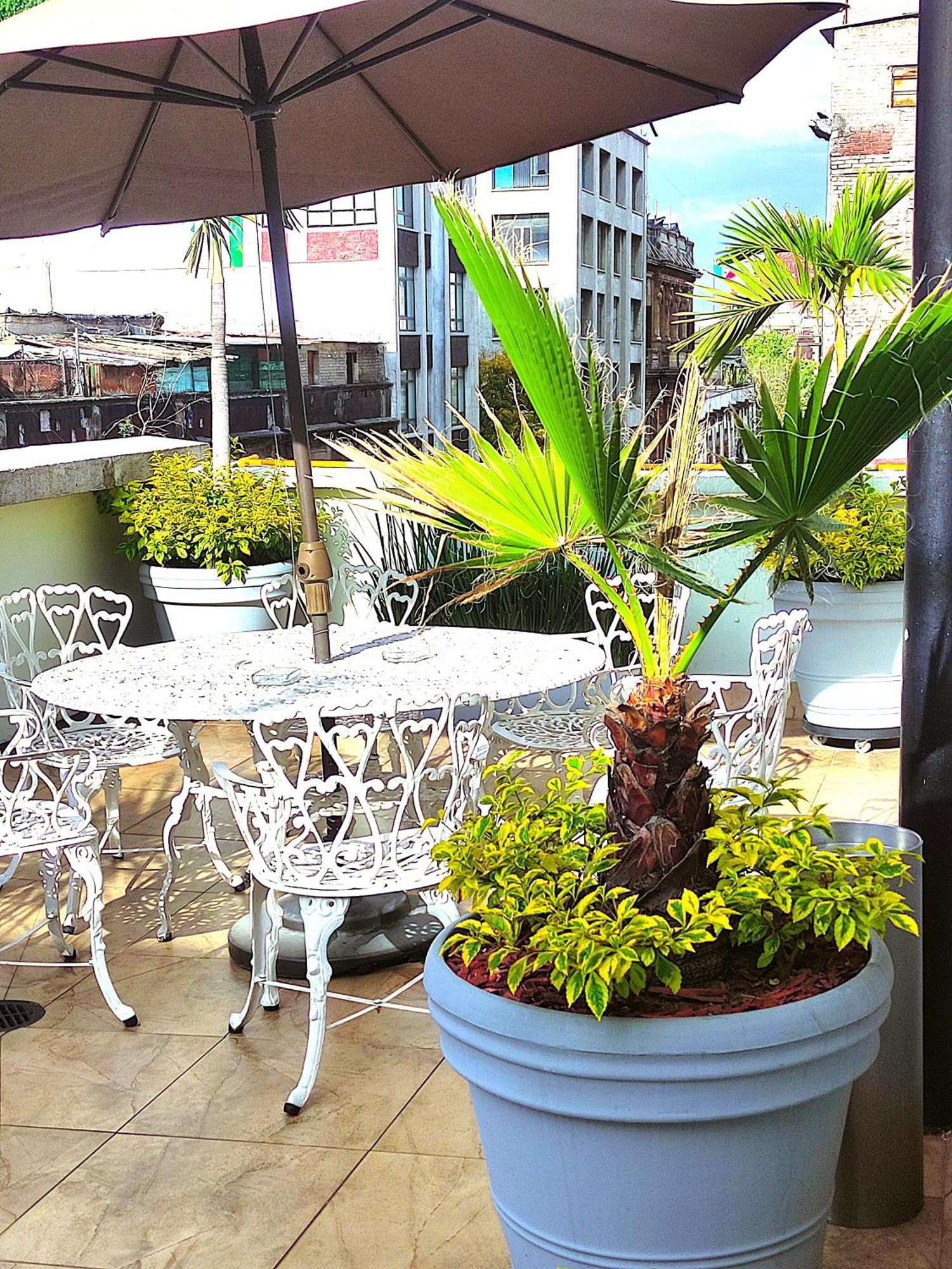 Hotel Habana Mexico City Ngoại thất bức ảnh