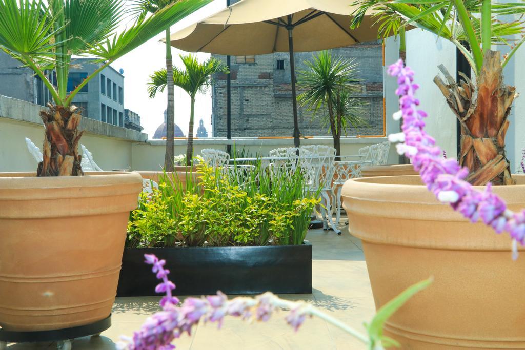 Hotel Habana Mexico City Ngoại thất bức ảnh